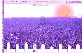 敌人的敌人就是朋友?孟加拉国和巴基斯坦分道扬镳后该何去何从?