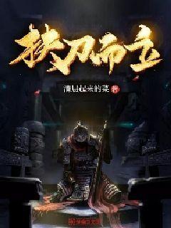 信长之野望13